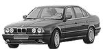 BMW E34 B1600 Fault Code